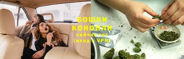 стафф Сосновоборск
