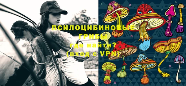 стафф Сосновоборск