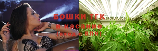 стафф Сосновоборск