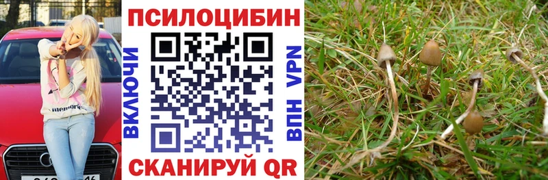 Галлюциногенные грибы Cubensis  Бабушкин 